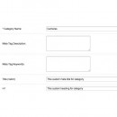 Title and H1 for category and product, h1 and keywords for home